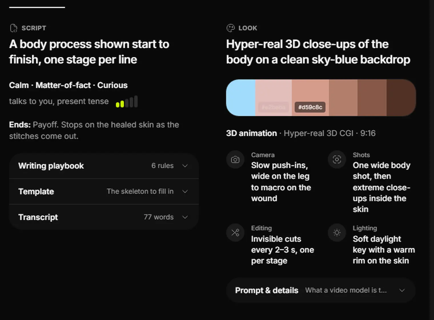 The Script column with tone, ending and the writing playbook, next to the Look column with the color palette, one hex code showing, and the camera, shots, editing and lighting traits.